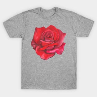 Watercolor red rose T-Shirt